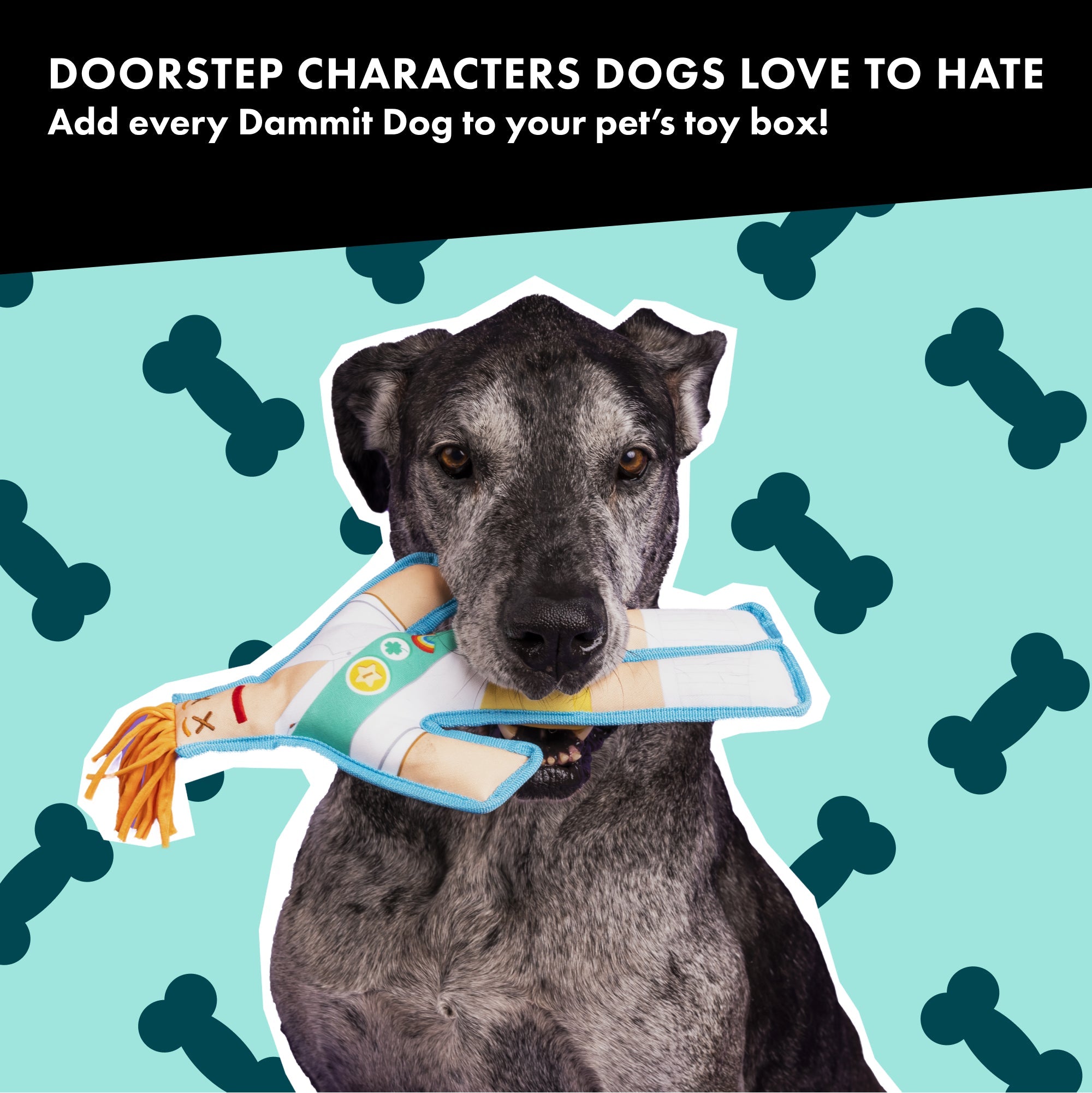 Cookie Scout Squeaky Chew Toy